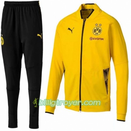 Borussia Dortmund Treningsdresser Gul 2018/19